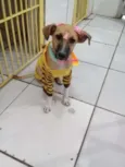 Mel