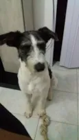 Spock