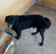 Sid