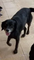 Sid