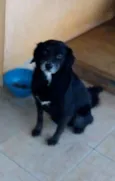 Sid