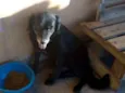 Sid