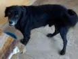 Sid