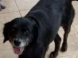 Sid