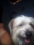 Beethoven 