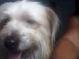 Beethoven 