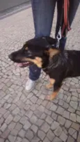 Nick