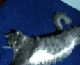 Zilu