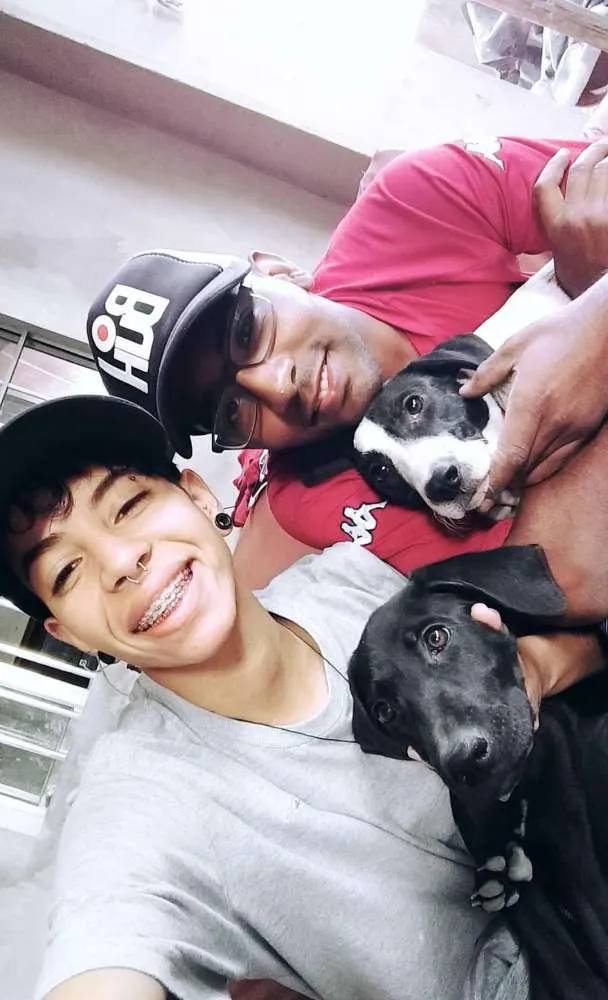 Cachorro raça Vira lata idade 1 ano nome Luz