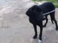 Luz