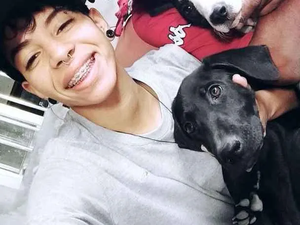 Cachorro raça Vira lata idade 1 ano nome Luz