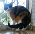 Luna & Agatha