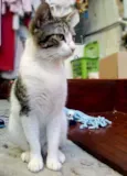 Princesa