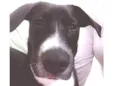 Duke