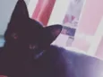 Romeu