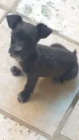 Mônica