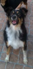 Benedito