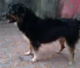 Benedito