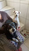 Naninha