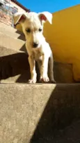 Naninha