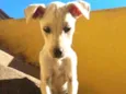 Naninha