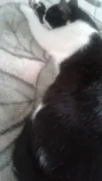 Lola