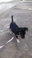 Bolinha