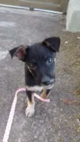 Bolinha