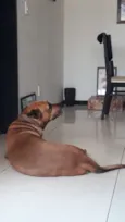 Rico