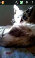 Zoe