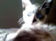 Zoe