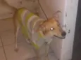 Billy