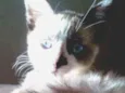 Zoe
