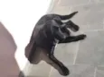 Doug