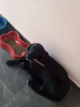 Doug