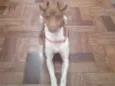 Paçoca