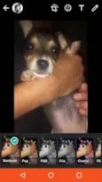 Nininha