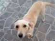 Nina