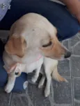 Nina