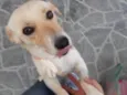 Nina