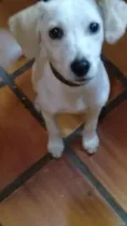 Nina