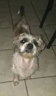 Luigi 