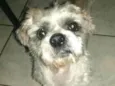 Luigi 