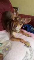 Léo