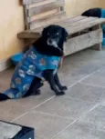 Sid
