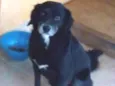 Sid