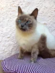 Nina