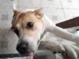 Frida
