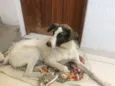 Nina