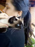 Docinho
